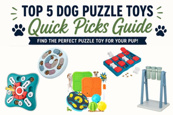 Top dog puzzle toys