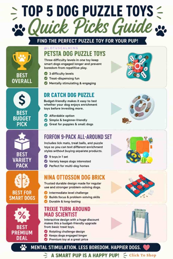 inforgraphic Top 5 brain games for dogs
