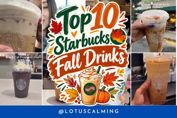 🍂🥤Top 10 Starbucks Fall Drinks