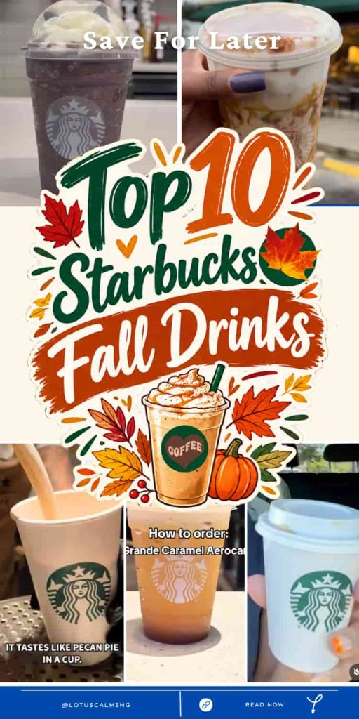 Starbucks Fall Drinks